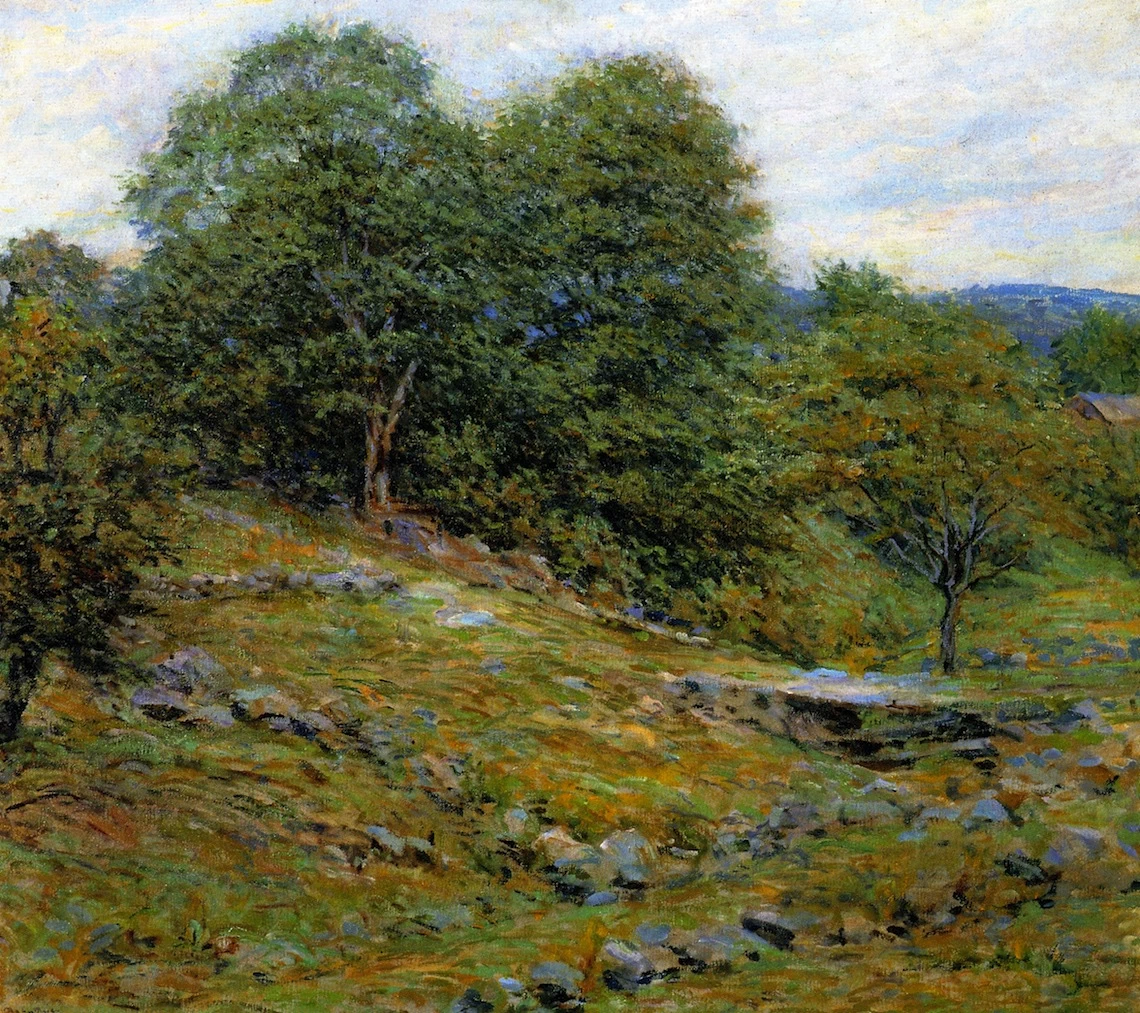 Pascolo pietroso